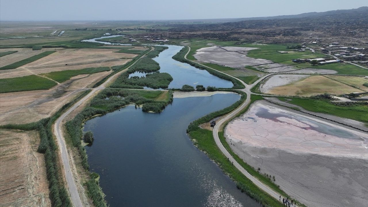 Ağrı Dağı Eteklerindeki Sulak Alanlar Turizme Açılıyor