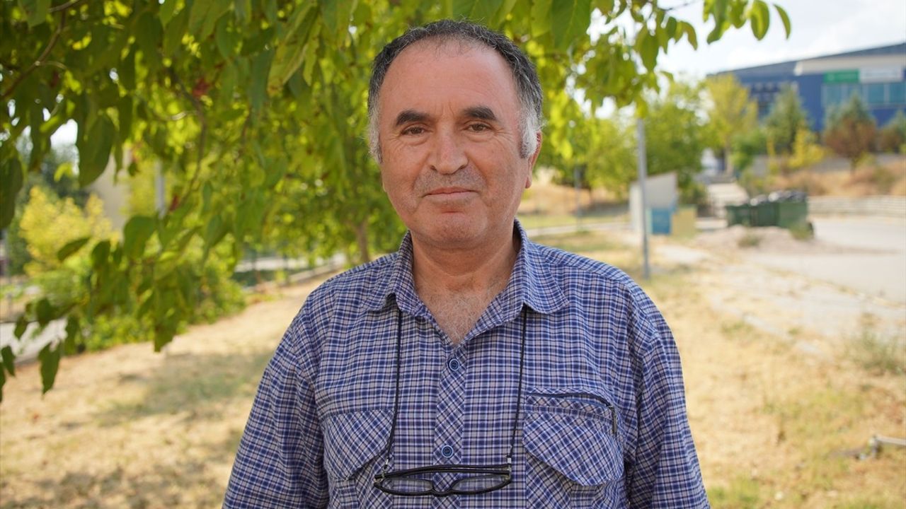 Anız Yakmanın Zararları: Toprağı Çöle Dönüştürüyor