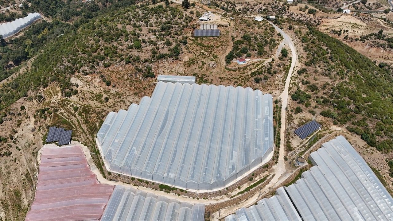 Antalya'daki Tropikal Meyve Bahçesinde Güneş Enerjisi Projesi