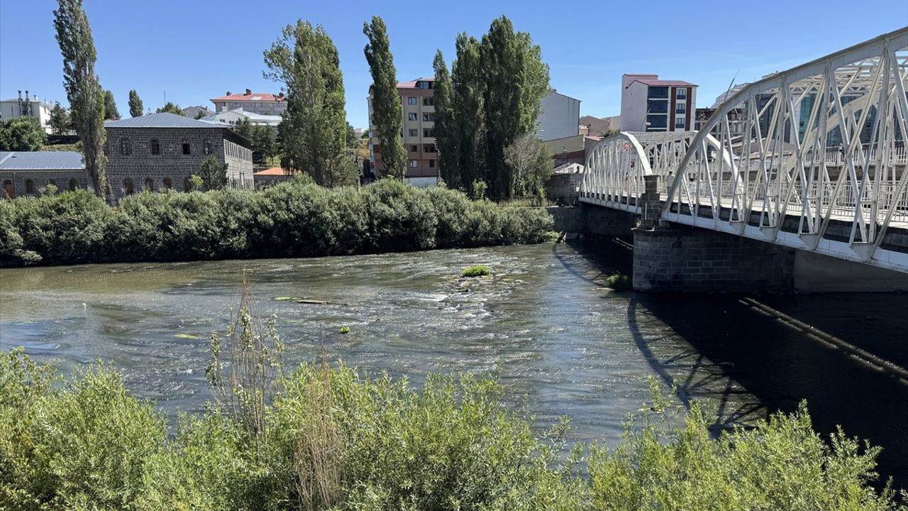 Ardahan'da Kura Nehri'nde Yosunlanma Sorunu