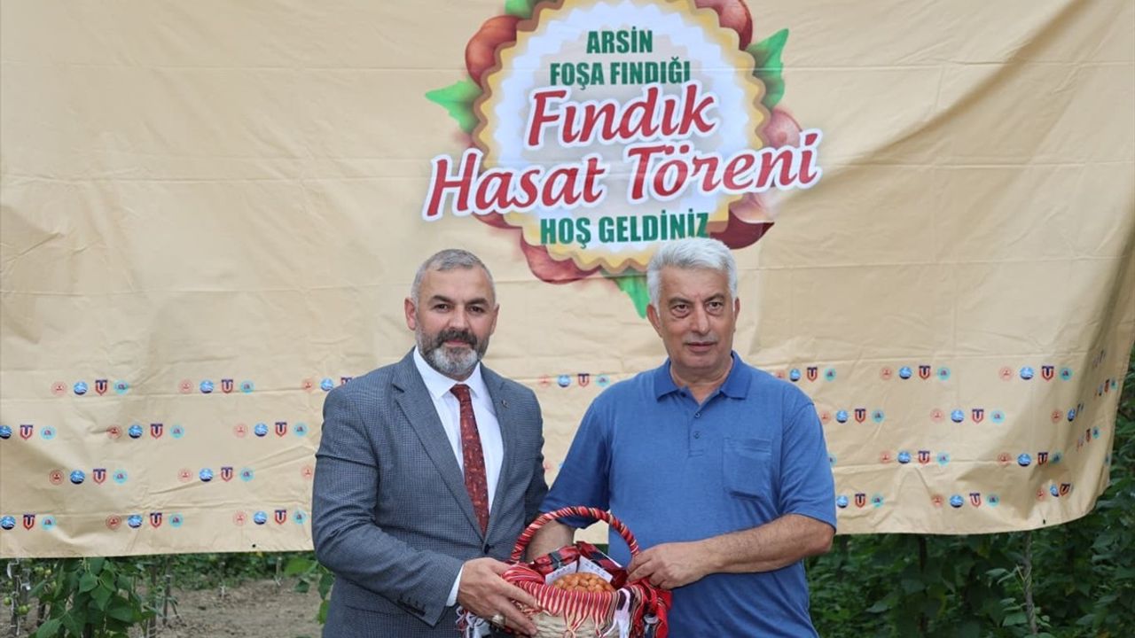 Arsin Foşa Fındığı Hasadı Coşkuyla Başladı