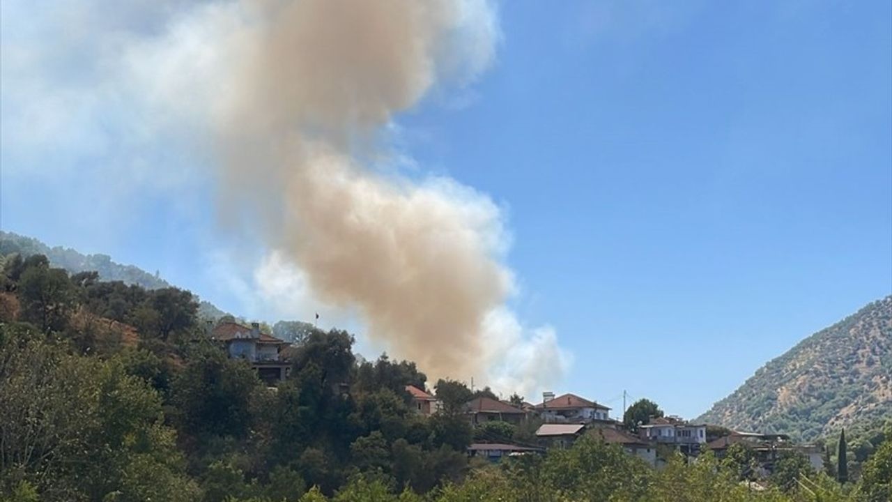 Aydın'daki Zeytinlik Yangını Kontrol Altına Alındı