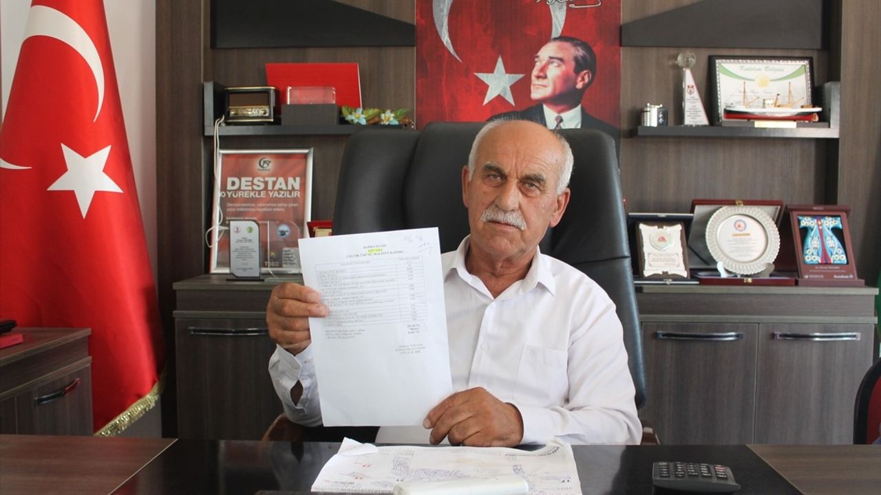 Bafra'da Çeltik Hasadı Gecikiyor