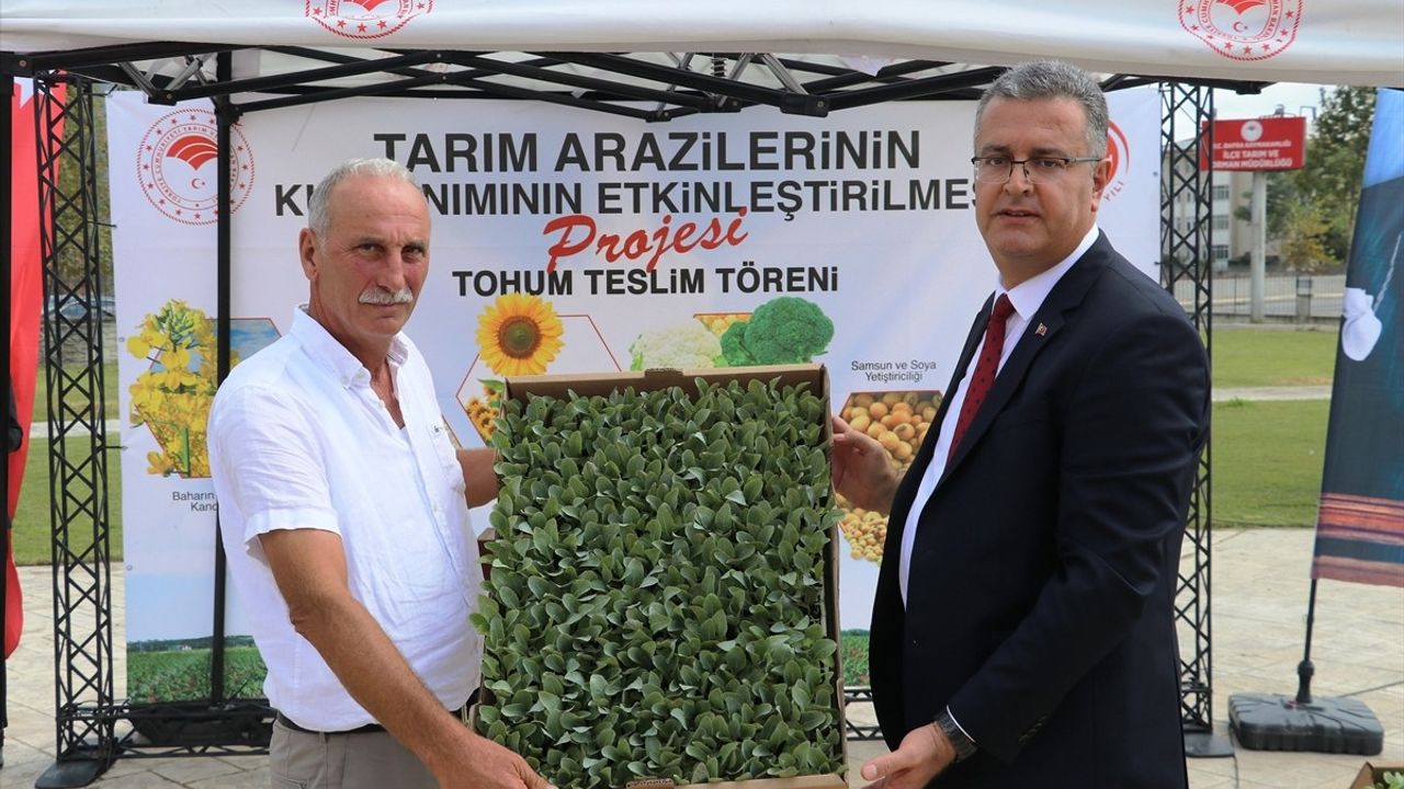 Bafra Ovası'na 347 Bin Sebze Fidesi Dağıtıldı
