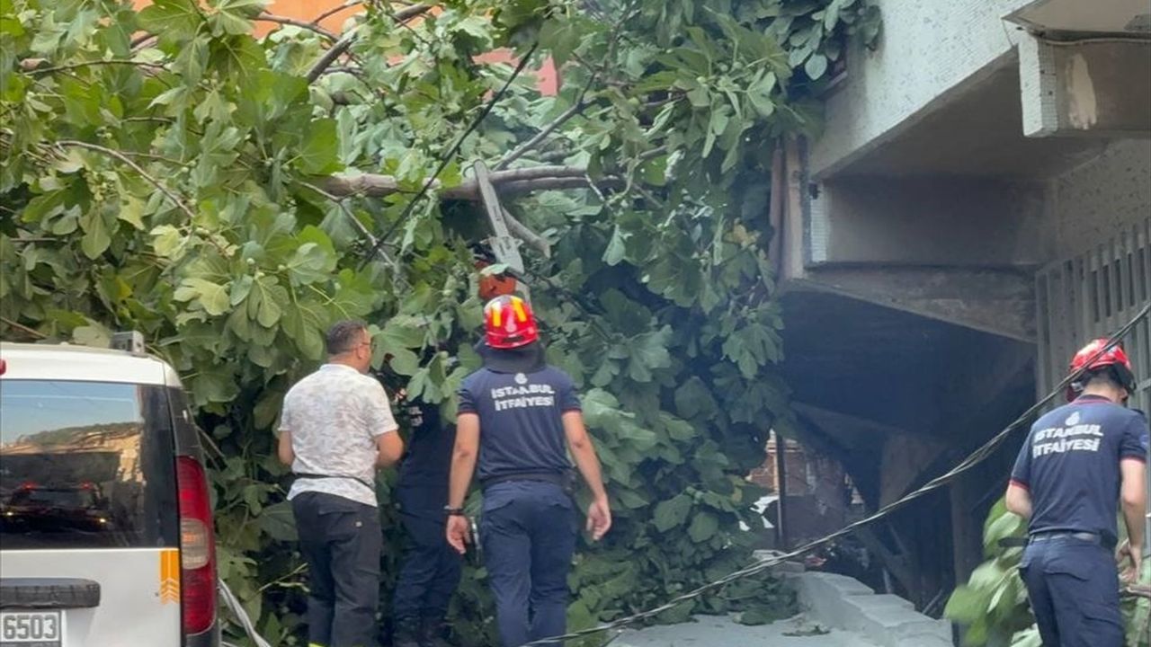Beyoğlu'nda Devrilen Ağaçlar Park Halindeki Araçlara Zarar Verdi