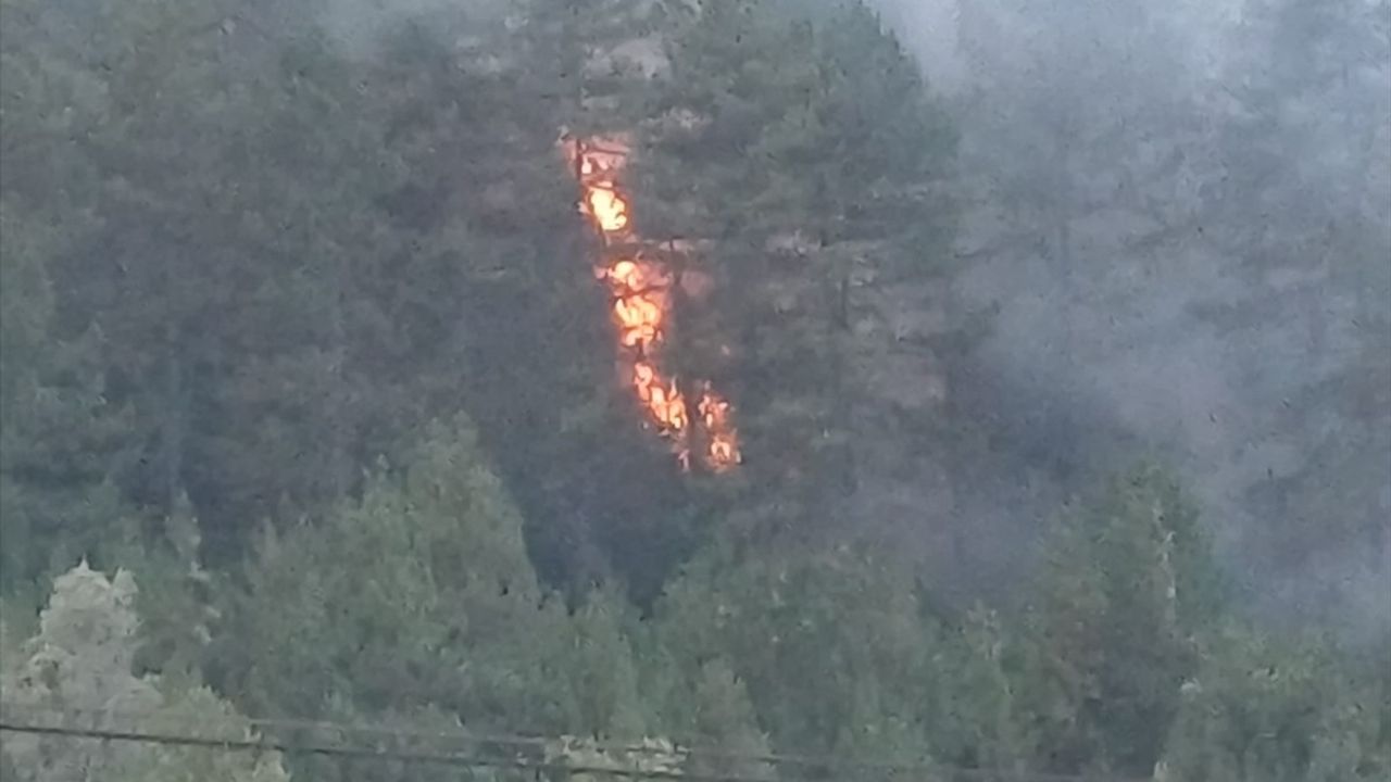 Bolu'daki Orman Yangını Kısmen Kontrol Altına Alındı