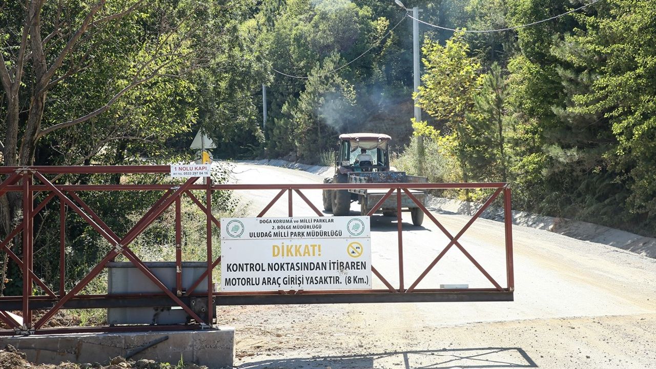 Bursa'da Muhtardan Orman Koruma Hamlesi