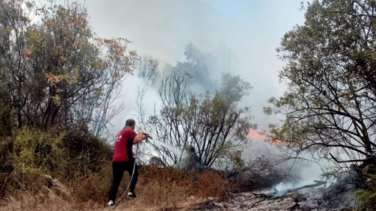 Bursa'da Zeytinlik Yangını Kontrol Altına Alındı