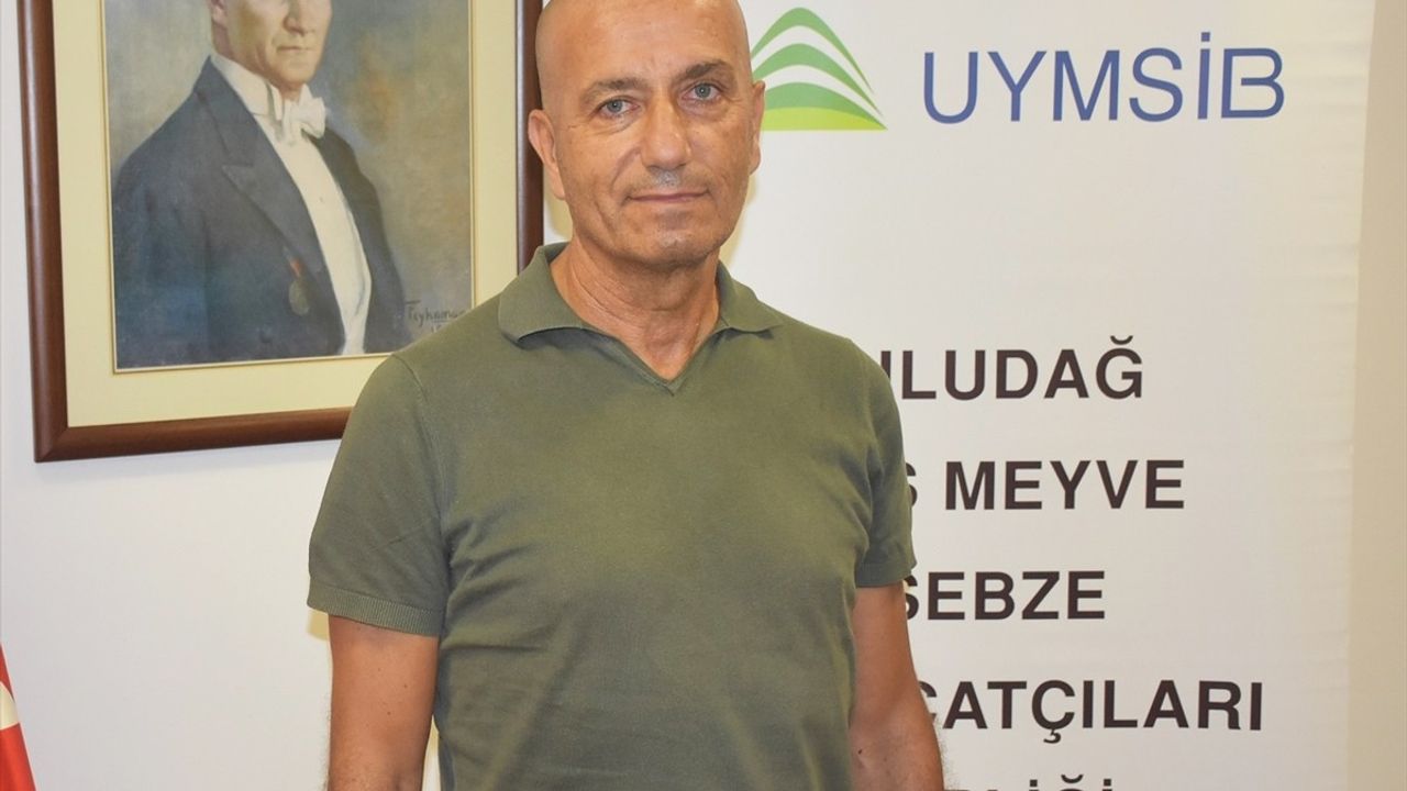 Bursa Siyah İncirinin İhracat Sorunları
