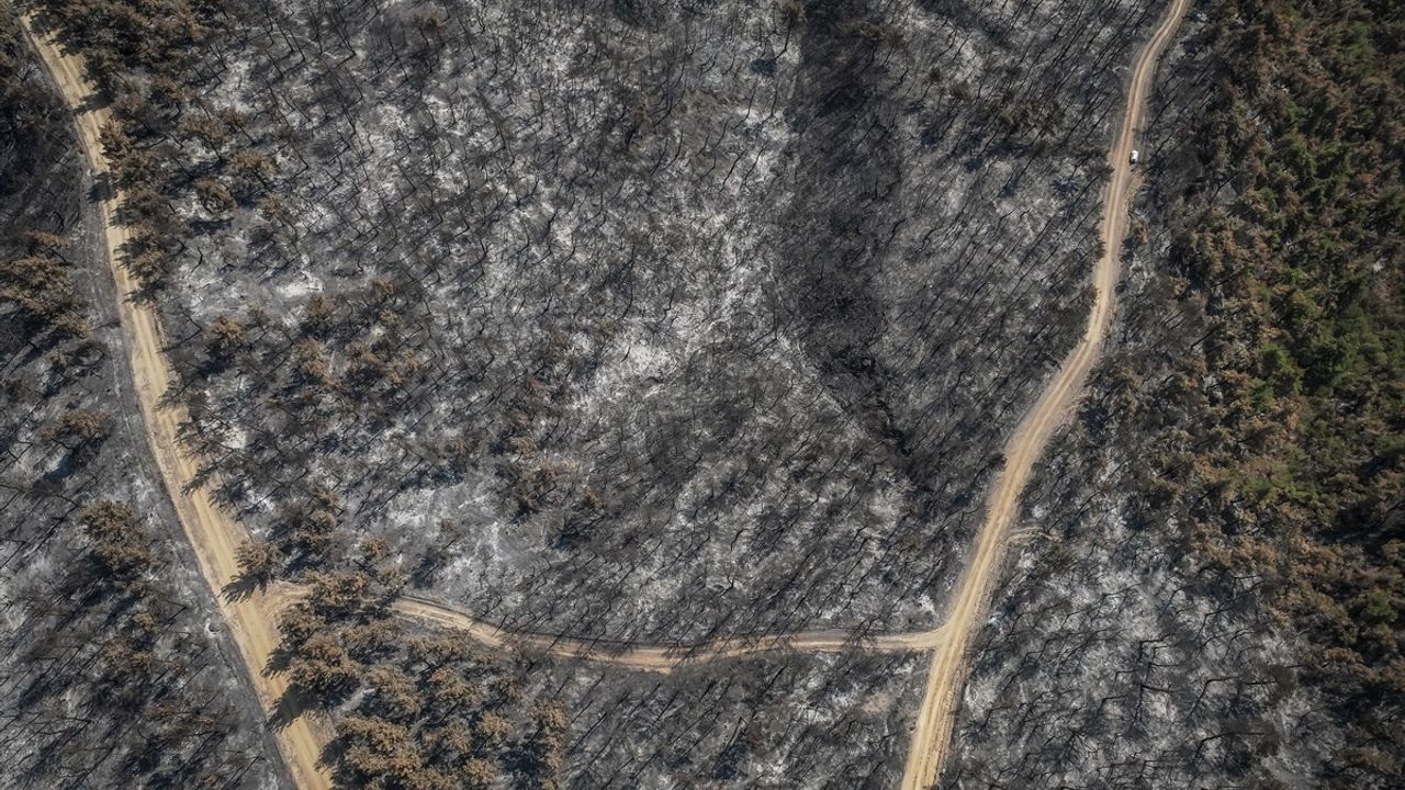 Çanakkale'de Dronla Görüntülenen Yangın Alanları