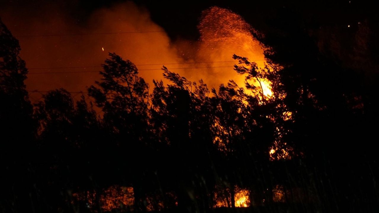 Çanakkale’de Orman Yangınına Hızla Müdahale