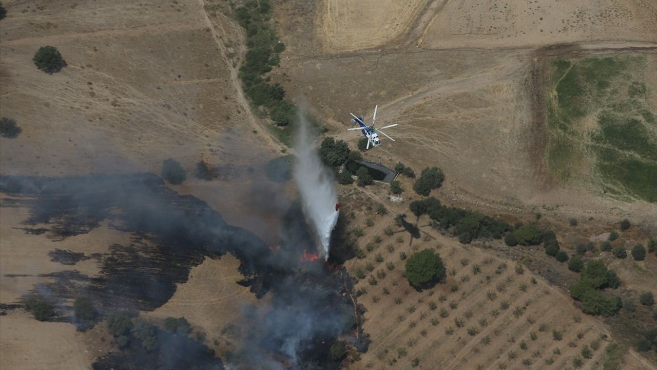 Çanakkale'de Zirai Alan Yangınına Müdahale Devam Ediyor