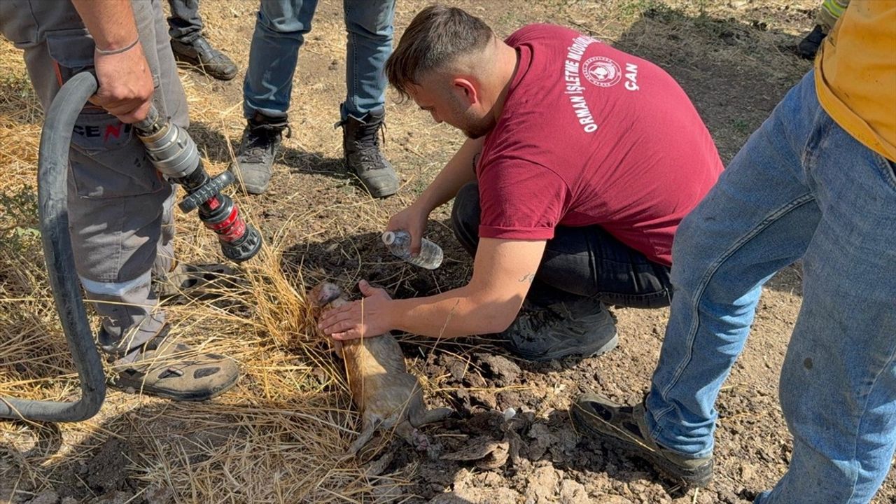 Çanakkale'deki Ahır Yangını Kontrol Altına Alındı