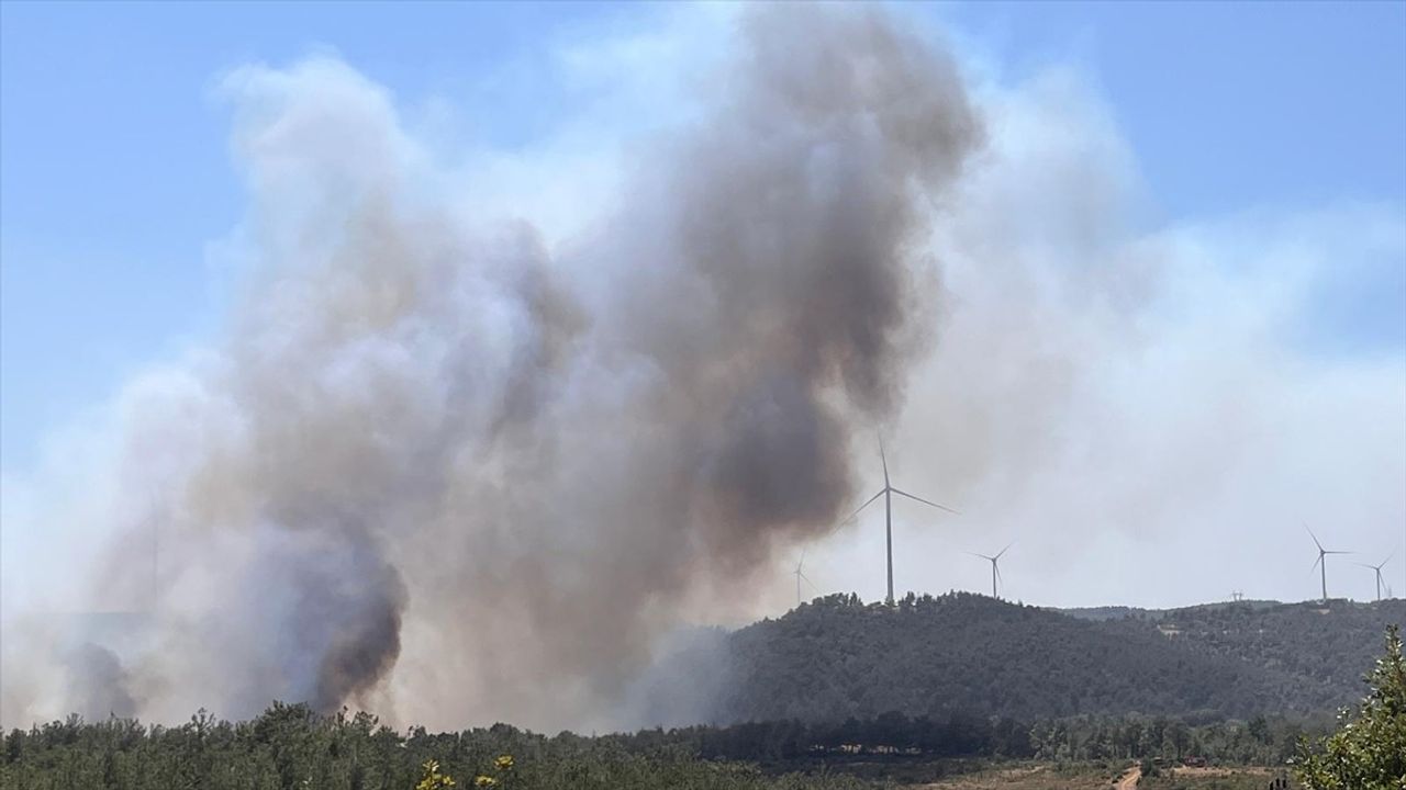 Çanakkale'deki Orman Yangınına Hızlı Müdahale