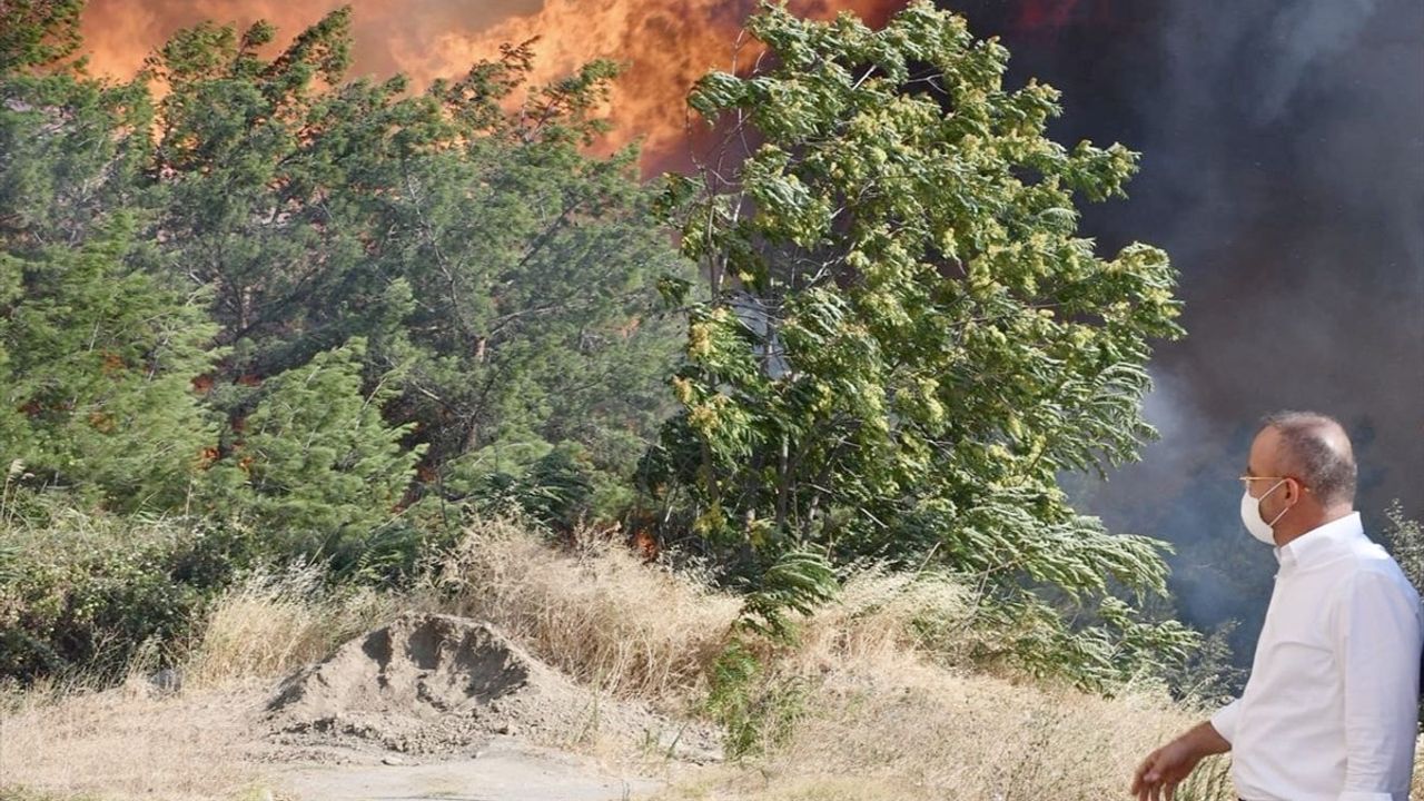 Çanakkale'deki Orman Yangınlarına Karşı Uyarılar
