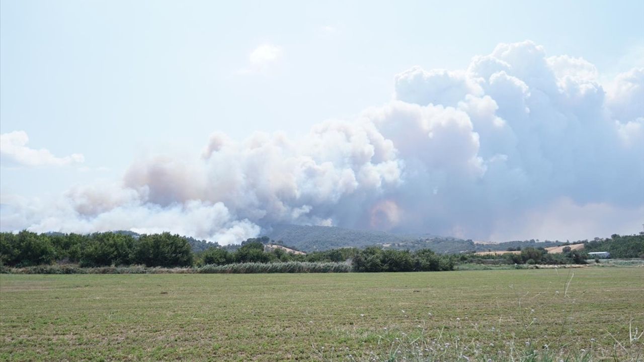 Çanakkale'de Tarım Arazisinde Başlayan Yangına Müdahale Ediliyor