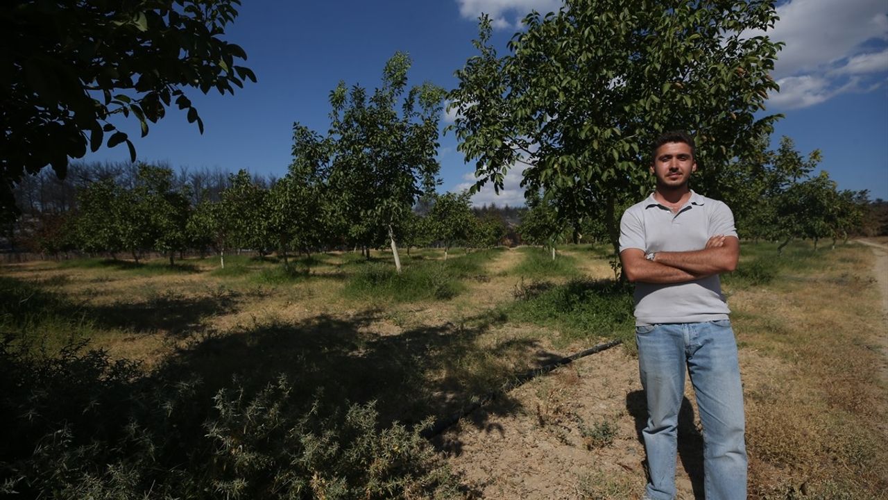 Çanakkale'deki Yangınlar ve Tarım Arazilerinin Korunması
