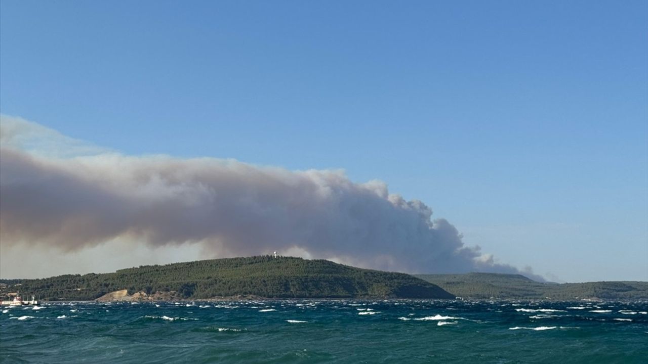 Çanakkale Gelibolu'da Orman Yangınına Müdahale Ediliyor