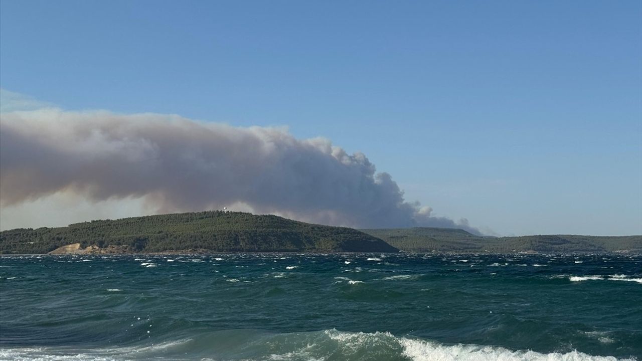 Çanakkale Gelibolu'daki Orman Yangınına Hızla Müdahale Ediliyor