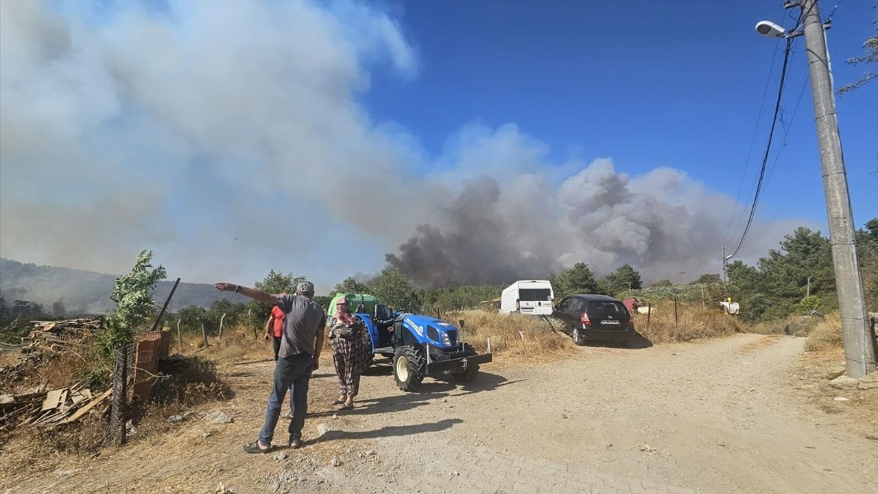 Çanakkale Gelibolu'daki Yangına Hızlı Müdahale