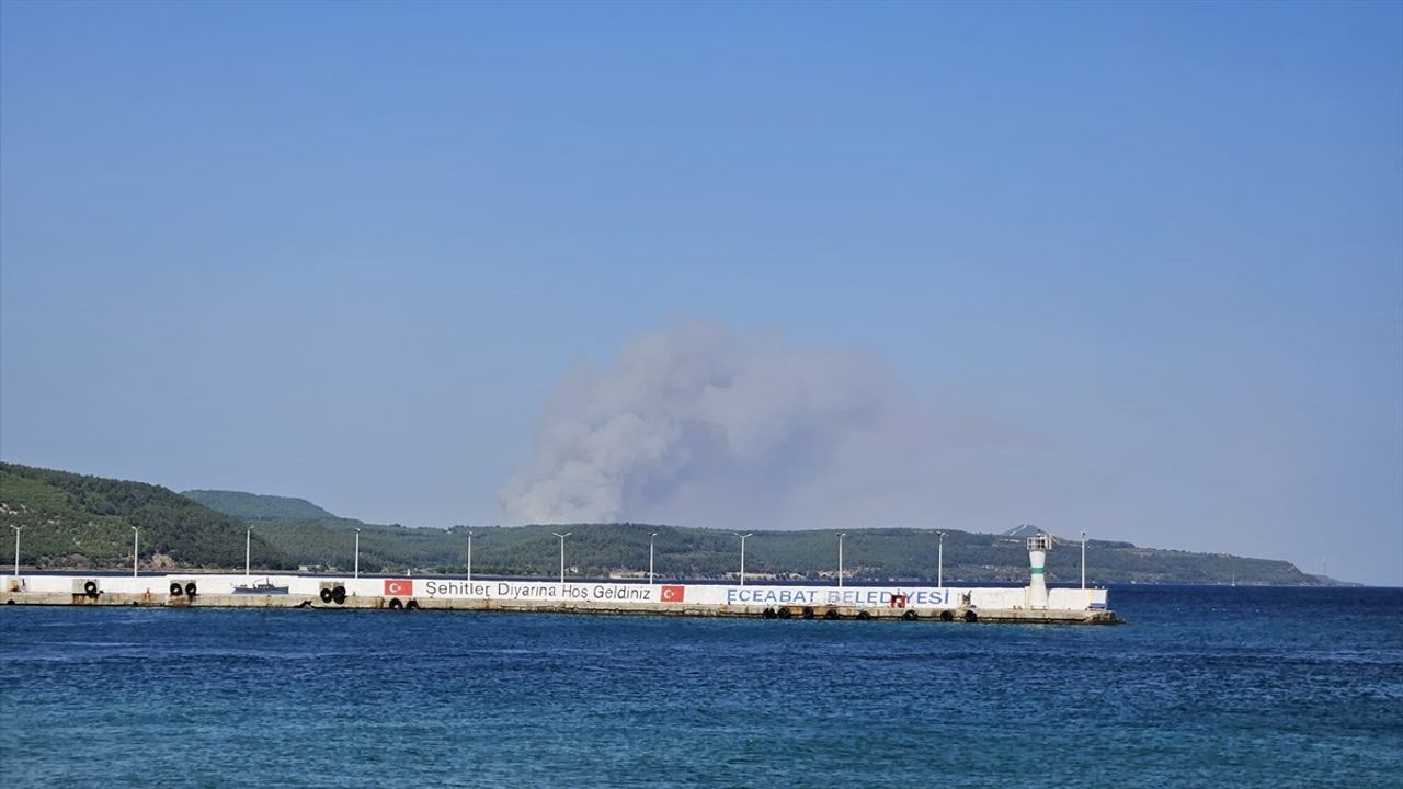 Çanakkale Gelibolu'daki Yangına Müdahale Ediliyor