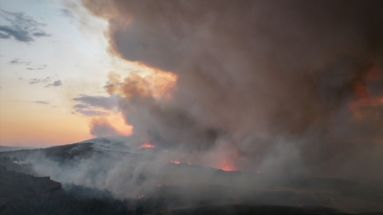 Çanakkale Gelibolu'daki Yangınla Mücadele Devam Ediyor