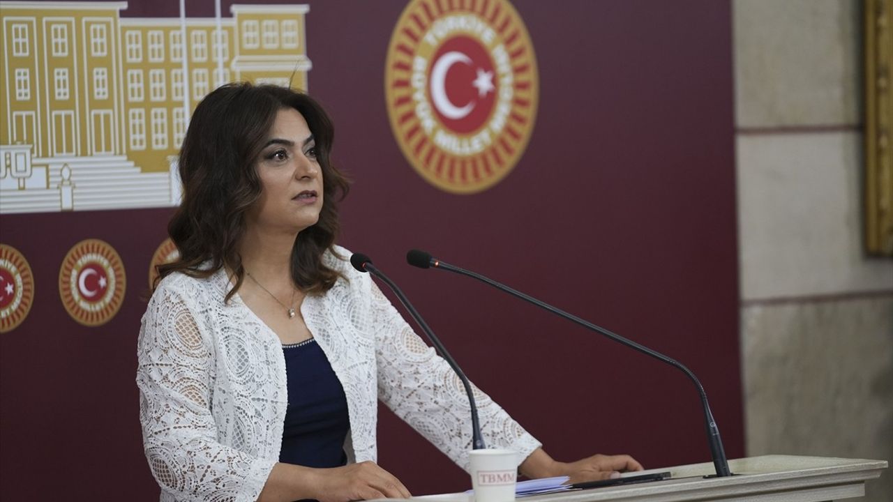 DEM Parti'den Deprem ve Orman Yangınları Üzerine Açıklamalar