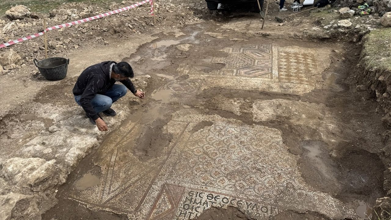 Diyarbakır'da Geç Roma-Erken Bizans Dönemine Ait Mozaik Bulundu
