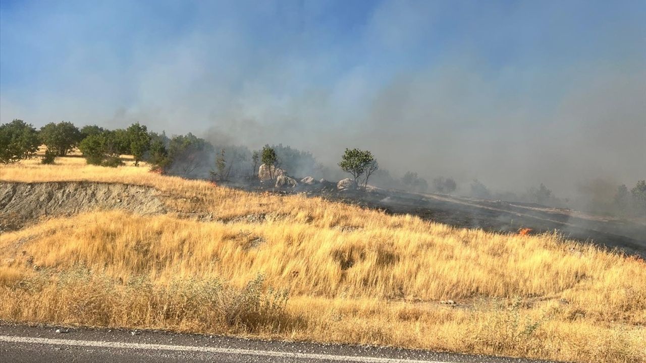 Diyarbakır'daki Kırsal Yangına Müdahale Devam Ediyor