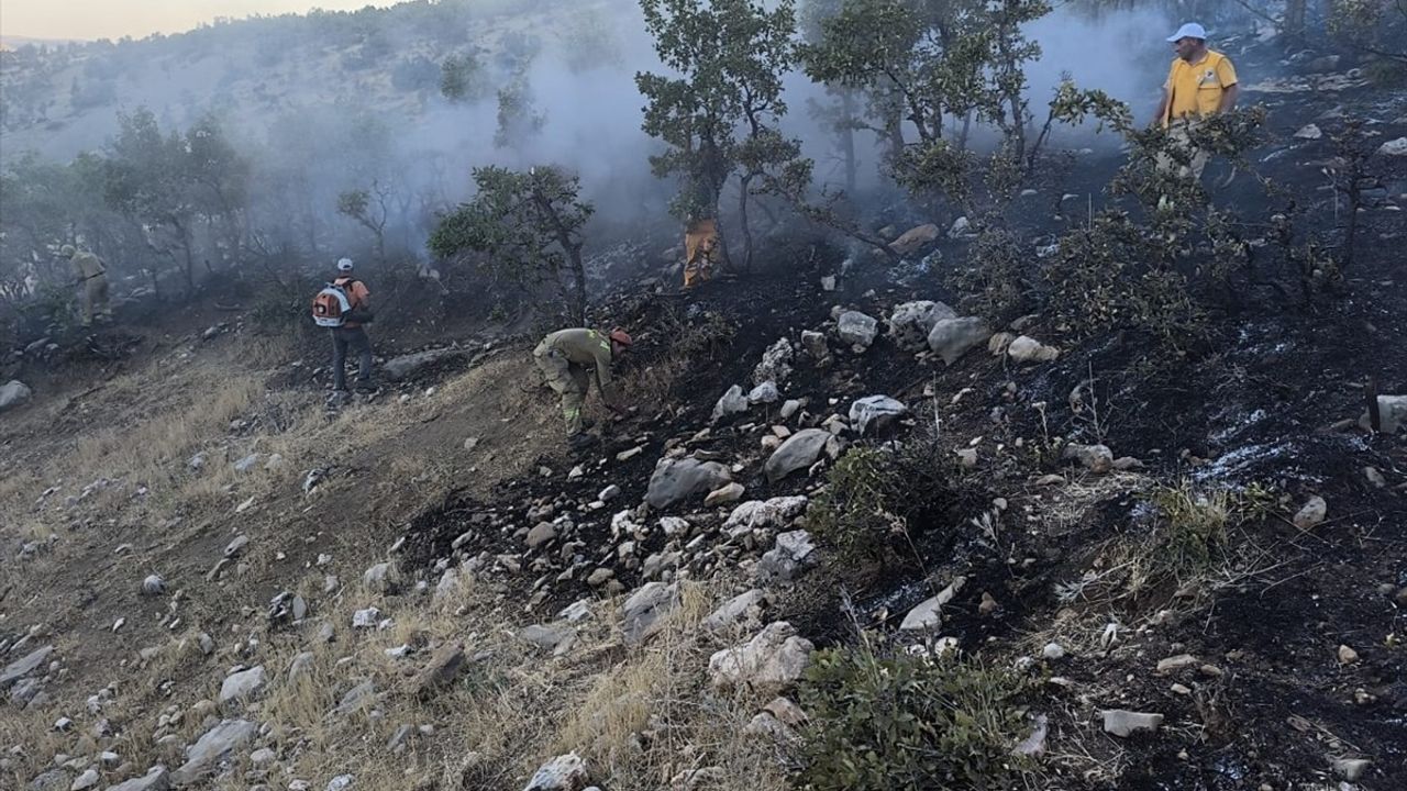 Diyarbakır'daki Orman Yangını Kontrol Altına Alındı