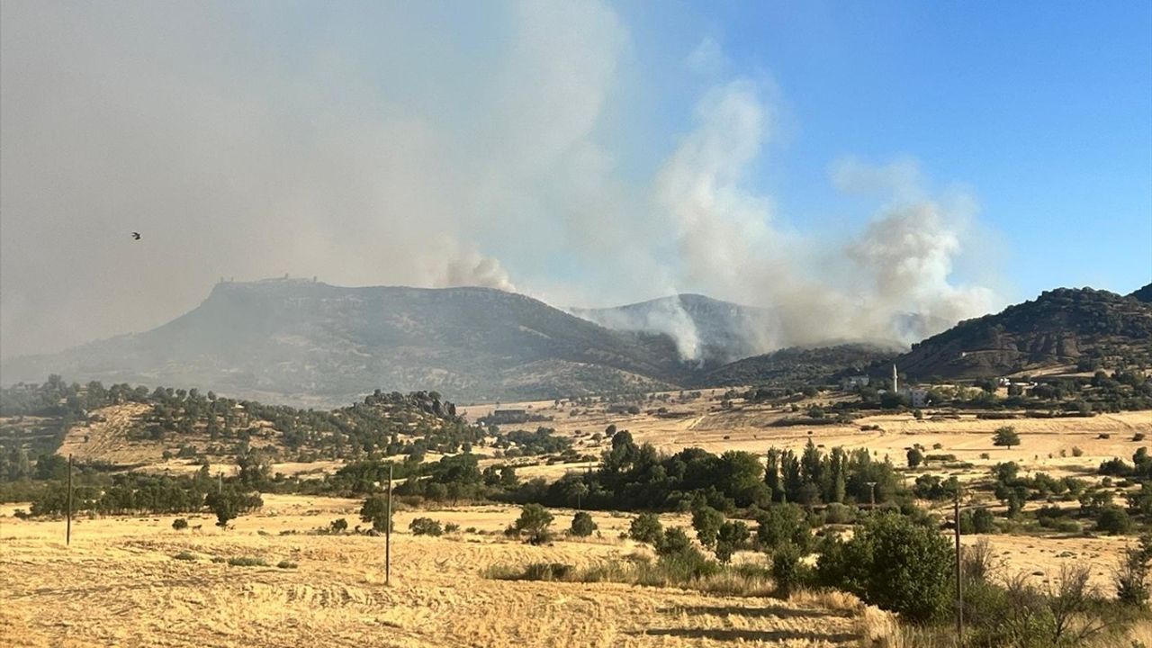 Diyarbakır'ın Hani ve Lice İlçelerinde Orman Yangınına Müdahale