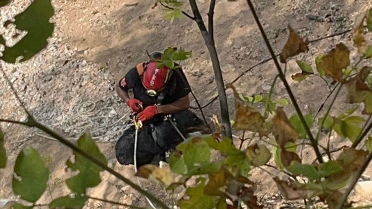 Düzce'de Mahsur Kalan Köpek Başarıyla Kurtarıldı