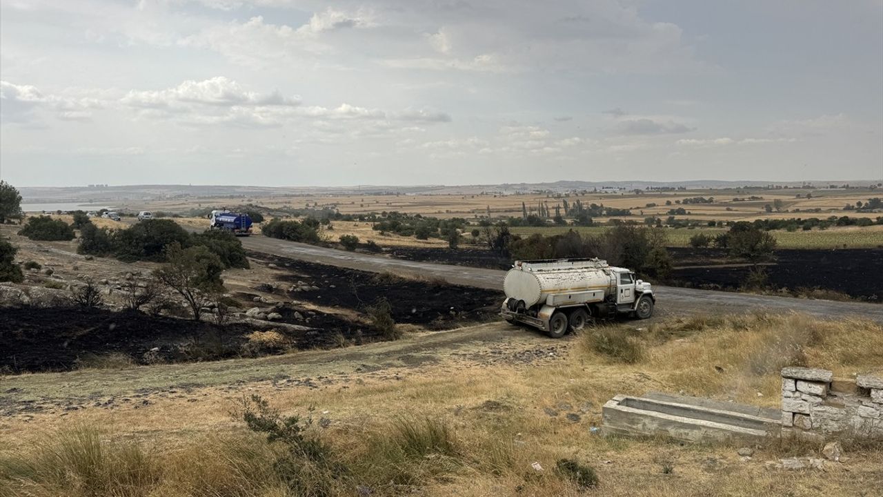 Edirne'de Orman Yangınına Hızla Müdahale Ediliyor