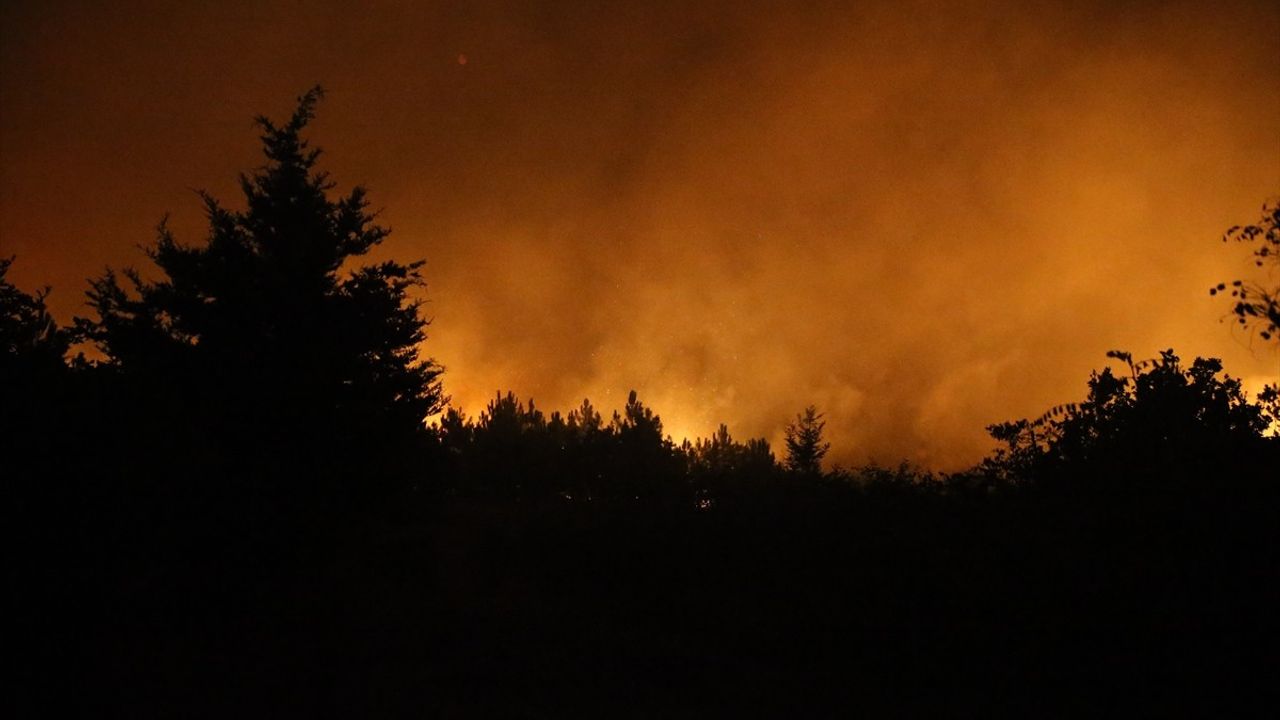 Edirne'de Orman Yangınına Müdahale Devam Ediyor