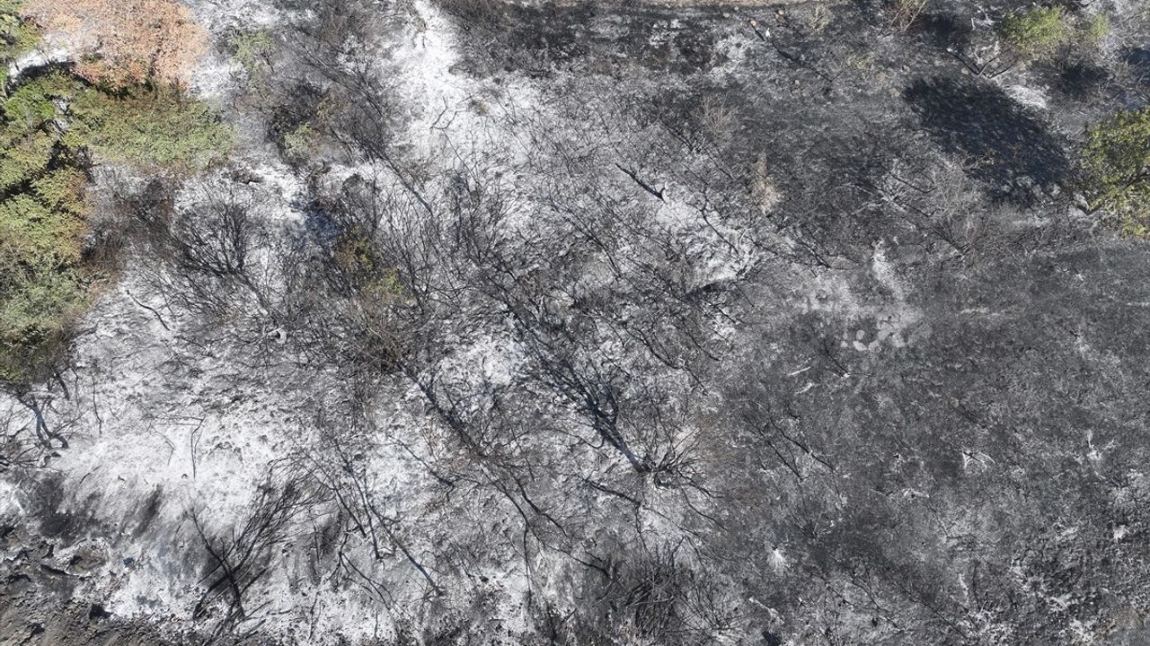 Edirne'deki Anız Yangını Kontrol Altına Alındı