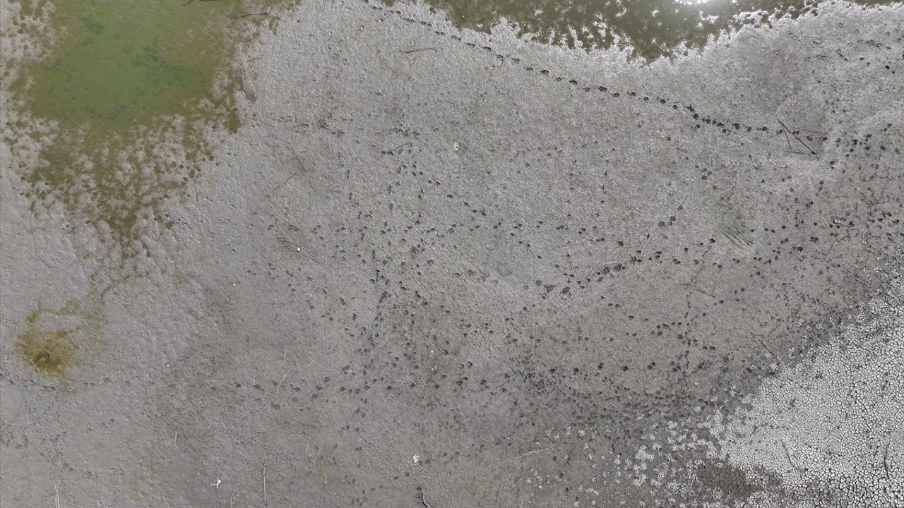Edirne Korucuköy Göleti'nde Kuraklık Sorunu