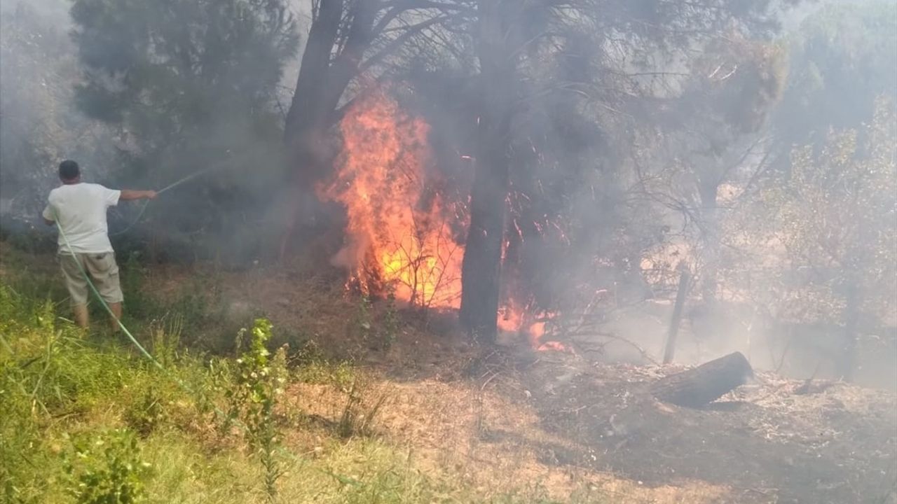 Erdek'teki Orman Yangını Kontrol Altına Alındı