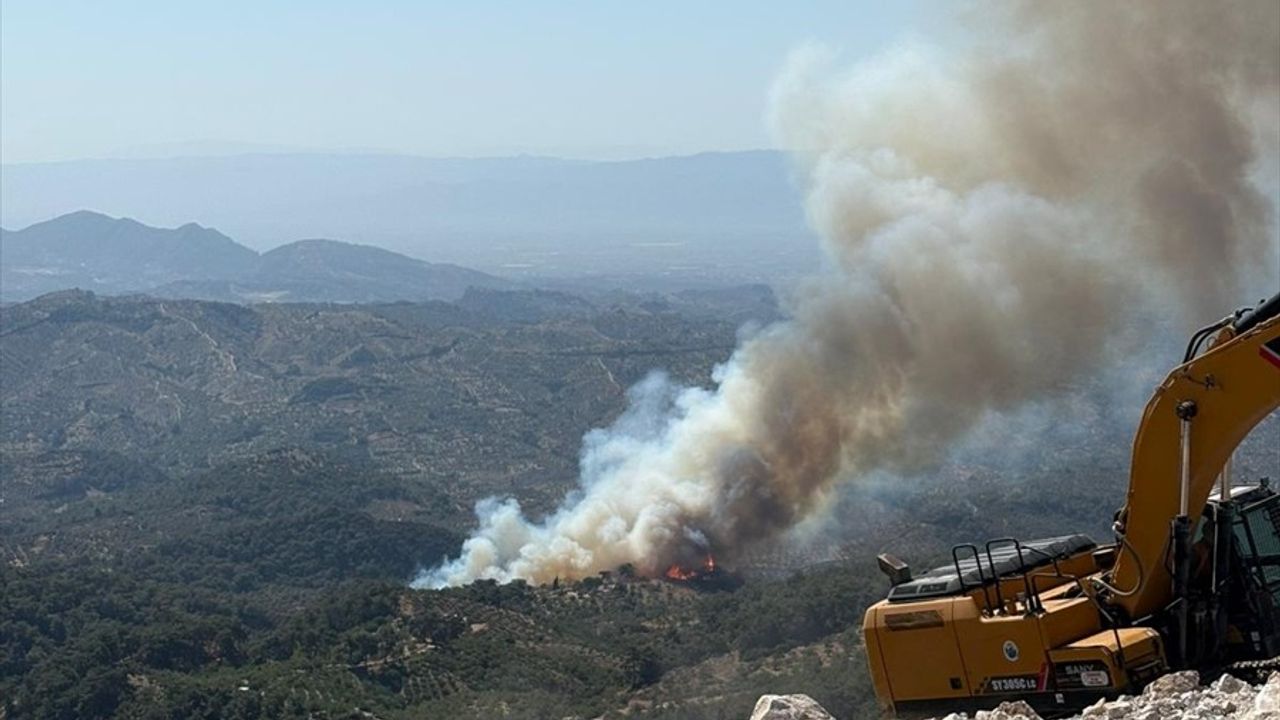 Germencik'teki Orman Yangınına Müdahale Devam Ediyor