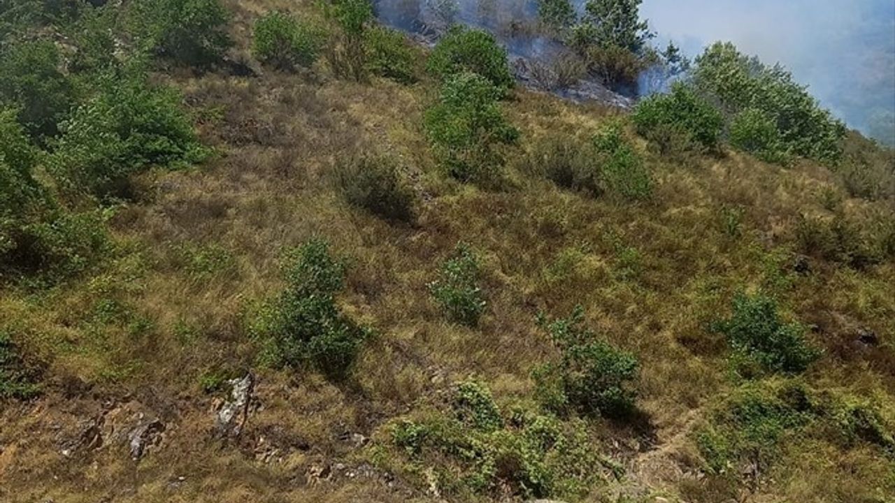 Gümüşhane'de Yangın Mücadelesi Devam Ediyor