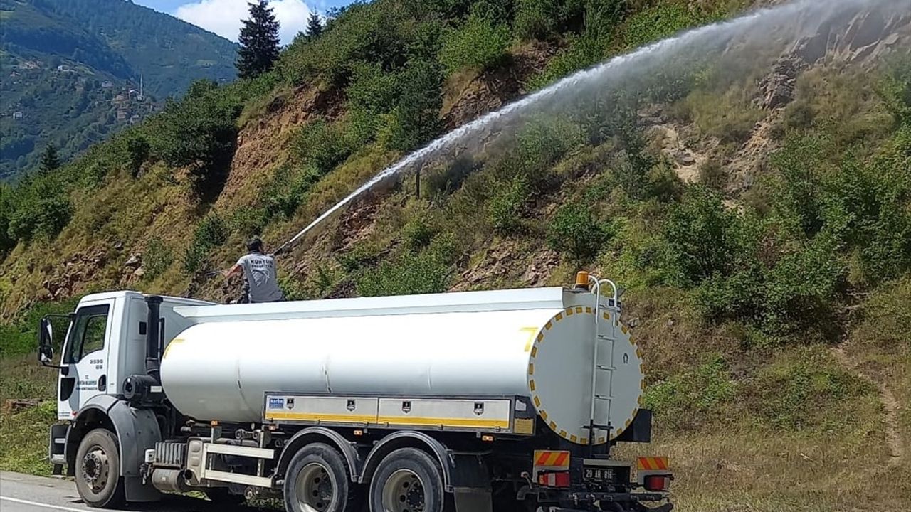 Gümüşhane'deki Yangın Kontrol Altına Alındı