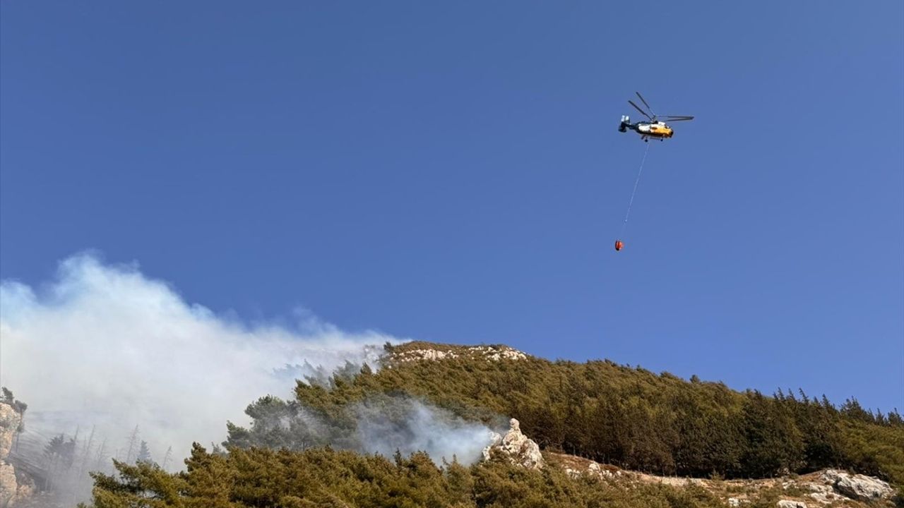 Hatay Antakya'da Orman Yangını: Hava ve Karadan Müdahale Devam Ediyor