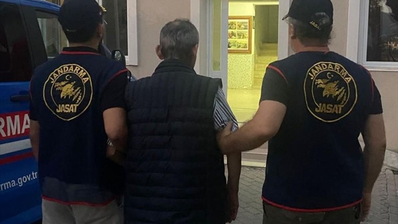 İzmir'de Sahipsiz Hayvanların Öldürülmesi: 1 Şüpheli Tutuklandı
