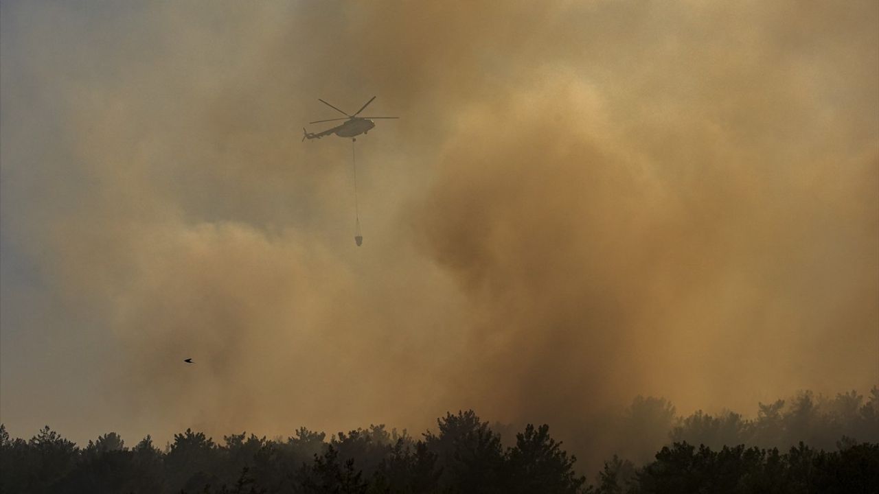 İzmir Menderes'te Orman Yangınına Neden Olan Kaynak Ustası Tutuklandı