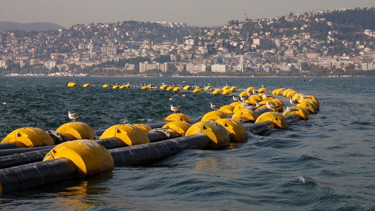 İzmit Körfezi'nde Balık Popülasyonu Yüzde 35 Arttı