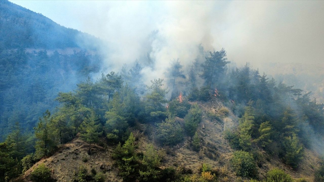 Karabük'te Orman Yangınına Müdahale Başlatıldı