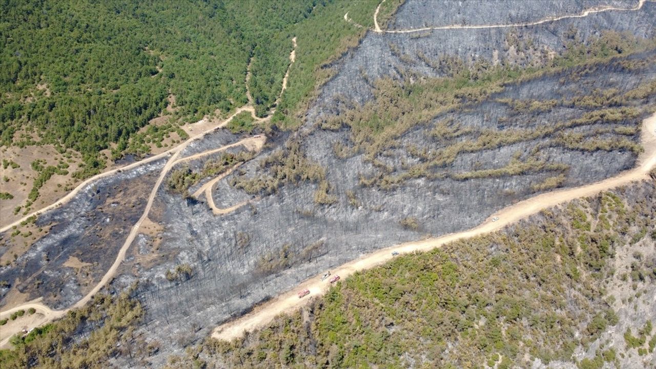 Karabük'te Yangın Sonrası Orman Alanları Havadan Görüntülendi