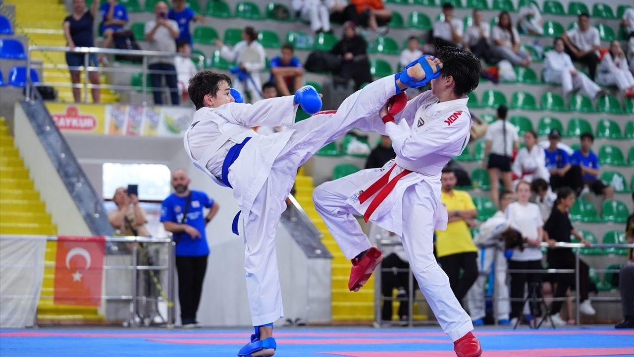 Karadeniz ve Hazar Ülkeleri Karate Şampiyonası Sonuçlandı