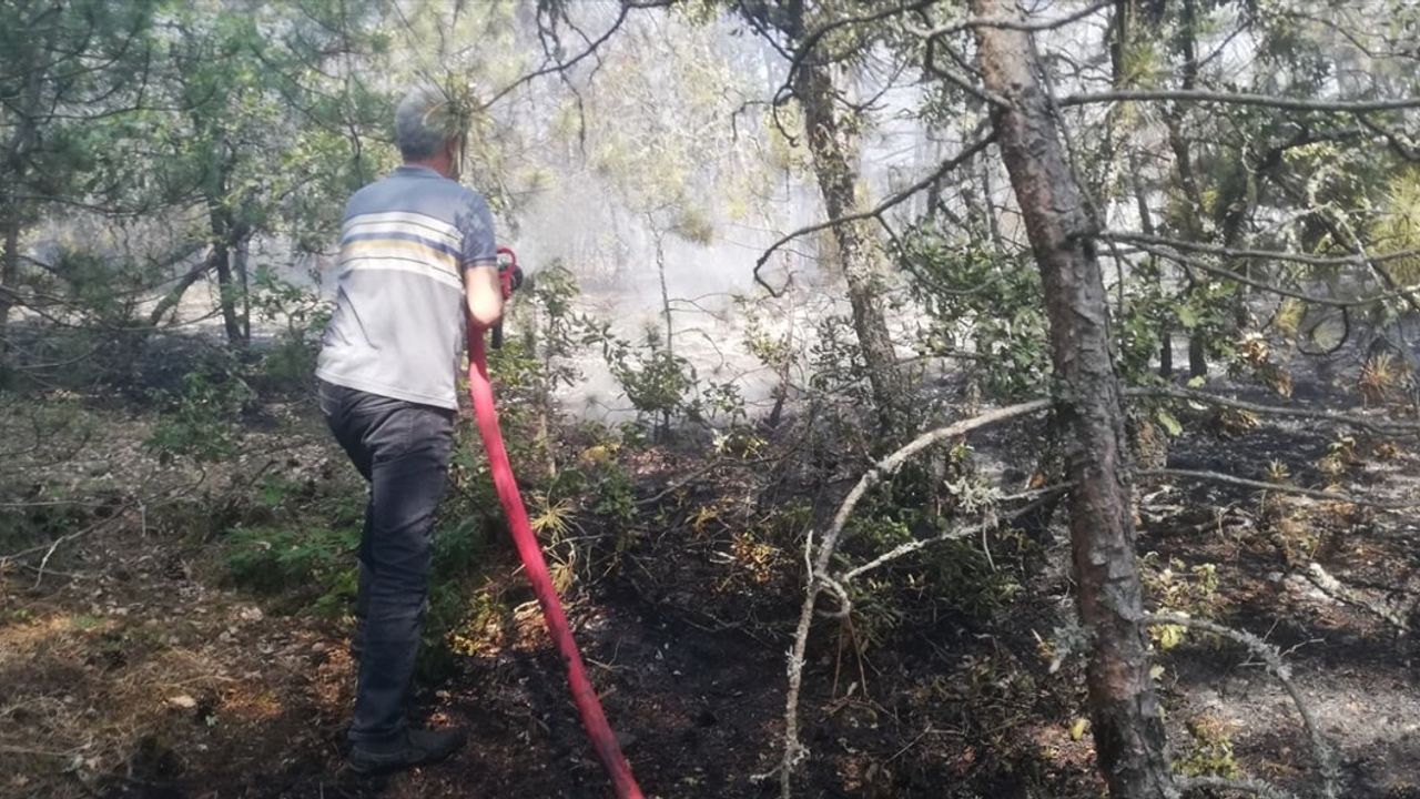 Kastamonu'daki Orman Yangını Kontrol Altına Alındı