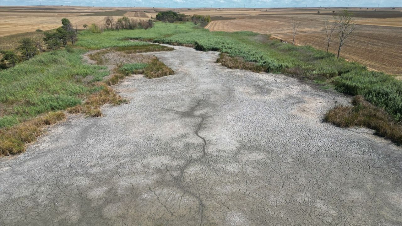 Kırkkepenekli Göleti'nde Balık Ölümleri: Kuraklık Etkisi