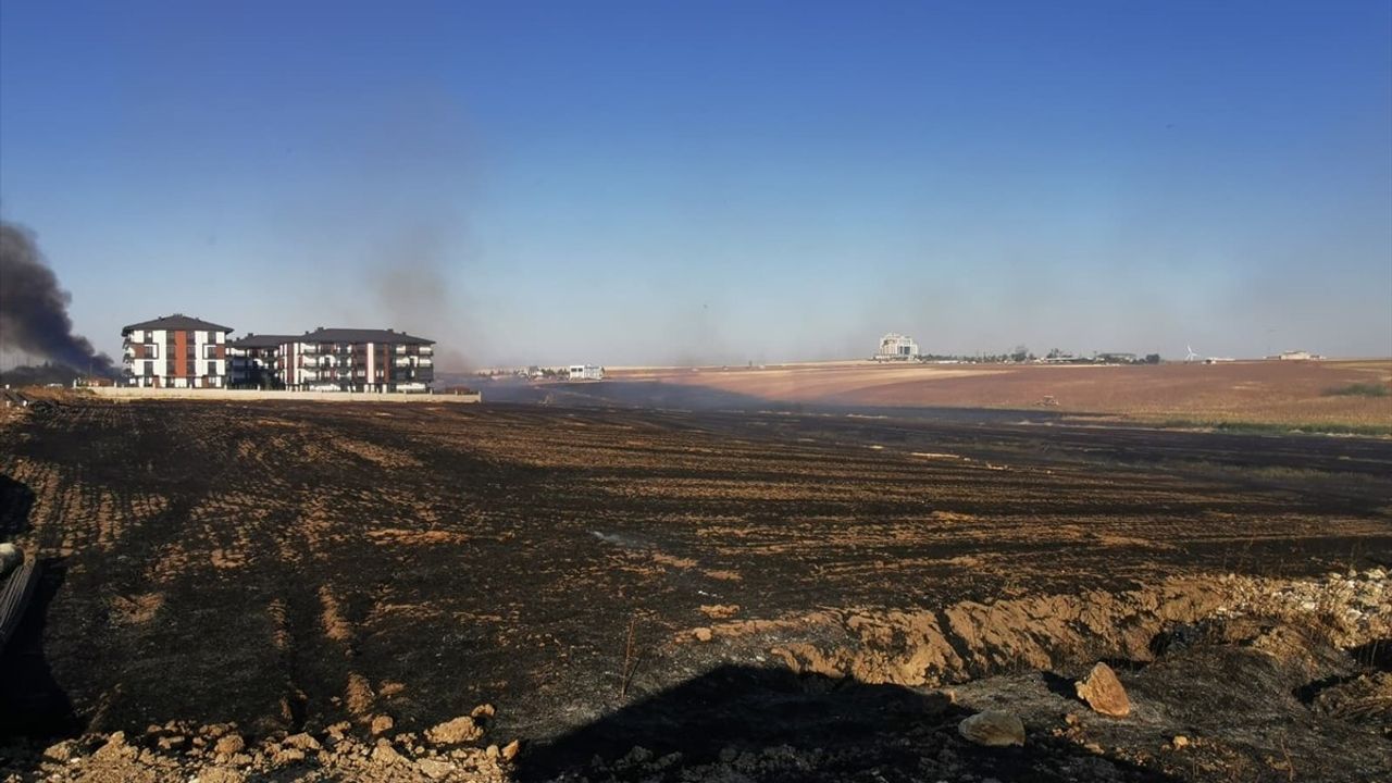 Kırklareli Lüleburgaz'daki Anız Yangını Kontrol Altına Alındı